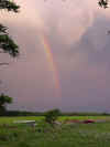 rainbow.jpg (46294 bytes)